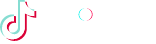 TikTok Shop partner