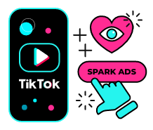 Organic videos on TikTok that gain traction can be used as Spark Ads with all the social proof which enhances the conversion performance